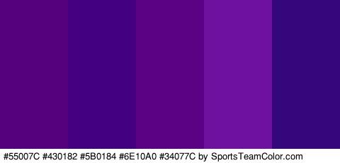 #55007C #430182 #5B0184 #6E10A0 #34077C Colors