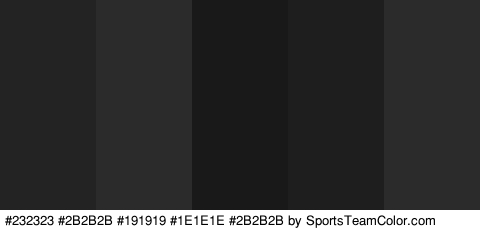 #232323 #2B2B2B #191919 #1E1E1E #2B2B2B Colors