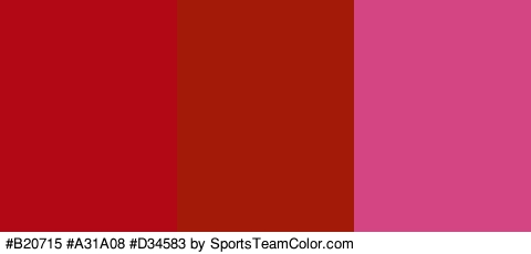 #B20715 #A31A08 #D34583 Colors