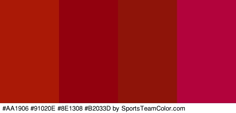 #AA1906 #91020E #8E1308 #B2033D Colors