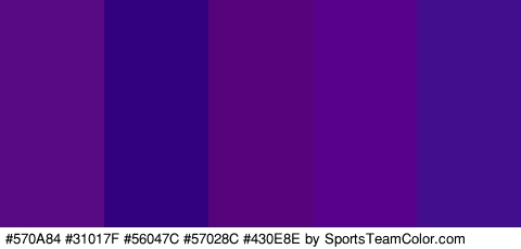 #570A84 #31017F #56047C #57028C #430E8E Colors