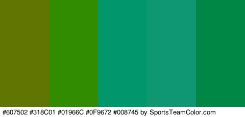 #607502 #318C01 #01966C #0F9672 #008745 Colors