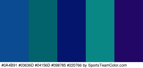 #0A4B91 #03636D #04156D #098785 #220766 Colors