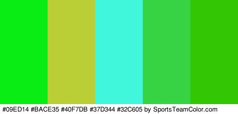 #09ED14 #BACE35 #40F7DB #37D344 #32C605 Colors