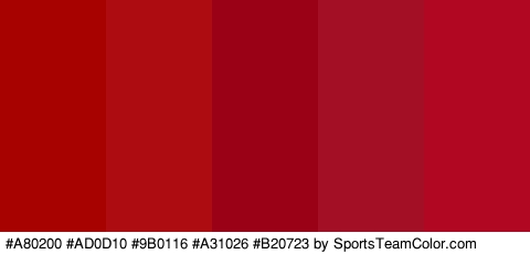 #A80200 #AD0D10 #9B0116 #A31026 #B20723 Colors