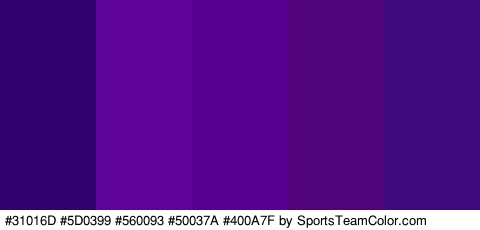 #31016D #5D0399 #560093 #50037A #400A7F Colors