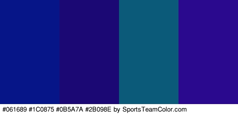 #061689 #1C0875 #0B5A7A #2B098E Colors