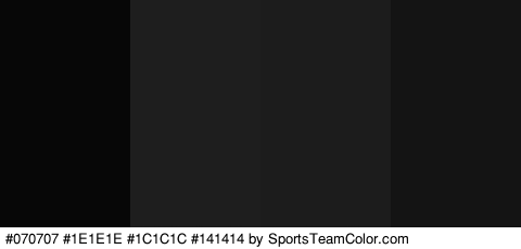 #070707 #1E1E1E #1C1C1C #141414 Colors