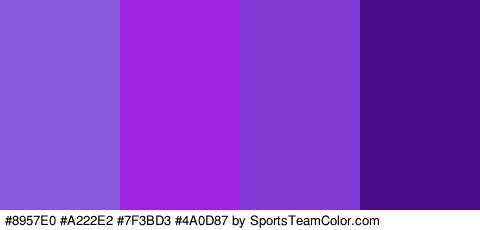 #8957E0 #A222E2 #7F3BD3 #4A0D87 Colors