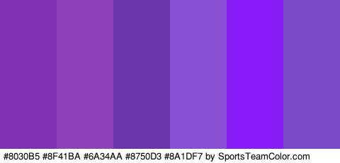 #8030B5 #8F41BA #6A34AA #8750D3 #8A1DF7 #7A4BC6 Colors