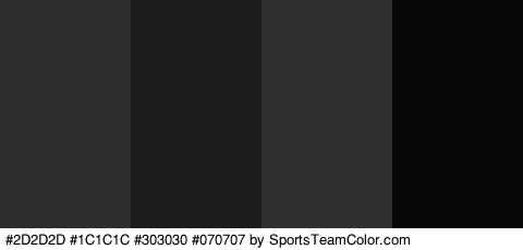 #2D2D2D #1C1C1C #303030 #070707 Colors