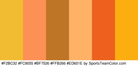 #F2BC32 #FC9055 #BF7526 #FFB266 #ED601E #FCAE11 Colors