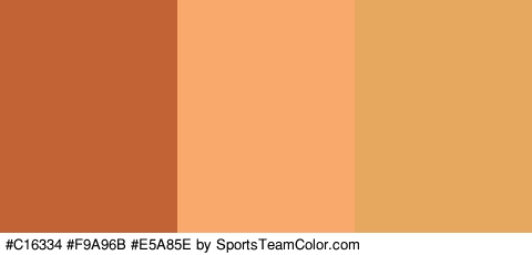 #C16334 #F9A96B #E5A85E Colors