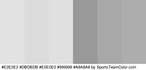 #E2E2E2 #DBDBDB #E0E0E0 #999999 #A8A8A8 #ADADAD Colors