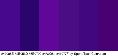 #47088E #2B056D #5E0799 #4A0D84 #41077F #470172 Colors