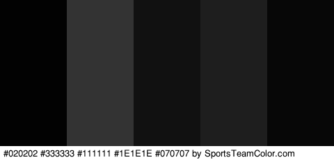 #020202 #333333 #111111 #1E1E1E #070707 Colors