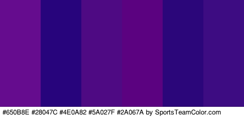 #650B8E #28047C #4E0A82 #5A027F #2A067A #3D0B82 Colors