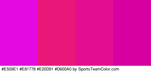 #E509E1 #E81778 #E20D91 #D600A0 Colors