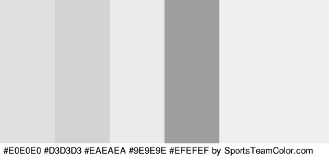 #E0E0E0 #D3D3D3 #EAEAEA #9E9E9E #EFEFEF #EFEFEF Colors