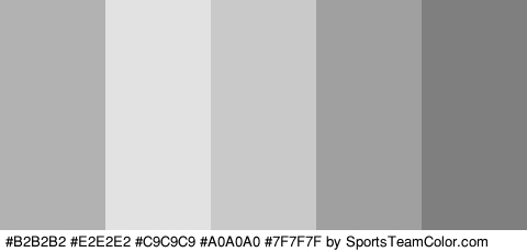 #B2B2B2 #E2E2E2 #C9C9C9 #A0A0A0 #7F7F7F Colors