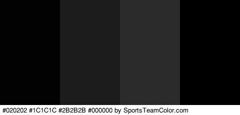 #020202 #1C1C1C #2B2B2B #000000 Colors