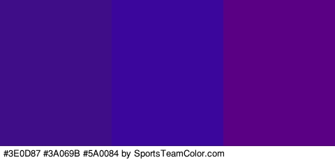 #3E0D87 #3A069B #5A0084 Colors