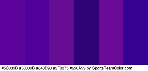 #5C039B #50009B #640D93 #2F0375 #690A99 #360093 Colors