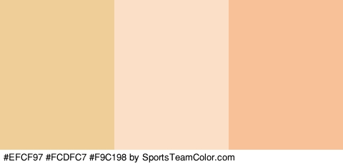 #EFCF97 #FCDFC7 #F9C198 Colors