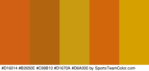 #D16014 #B2650E #C99B10 #D1670A #D6A000 Colors