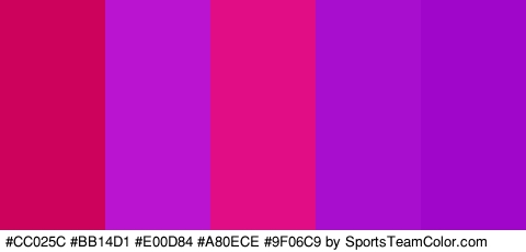 #CC025C #BB14D1 #E00D84 #A80ECE #9F06C9 Colors