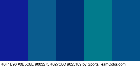 #0F1E96 #0B5C8E #003275 #027C8C #025189 Colors