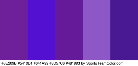 #6E209B #5410D1 #641A99 #8D57C6 #481993 Colors