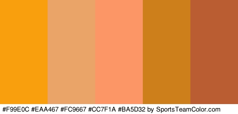 #F99E0C #EAA467 #FC9667 #CC7F1A #BA5D32 Colors