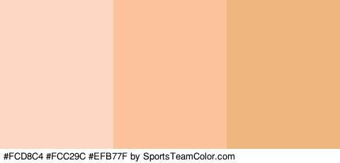 #FCD8C4 #FCC29C #EFB77F Colors