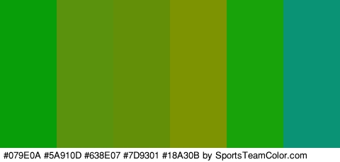 #079E0A #5A910D #638E07 #7D9301 #18A30B #0B9376 Colors