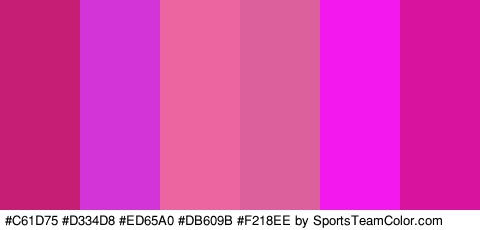 #C61D75 #D334D8 #ED65A0 #DB609B #F218EE #D8139D Colors