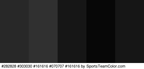 #282828 #303030 #161616 #070707 #161616 Colors