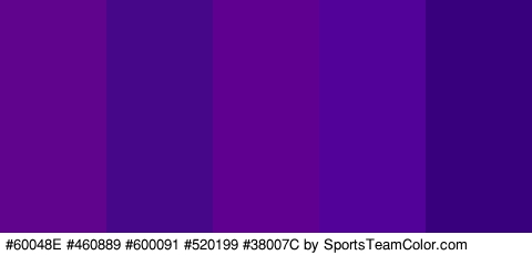 #60048E #460889 #600091 #520199 #38007C Colors