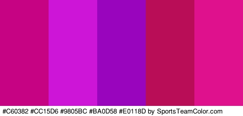 #C60382 #CC15D6 #9805BC #BA0D58 #E0118D Colors