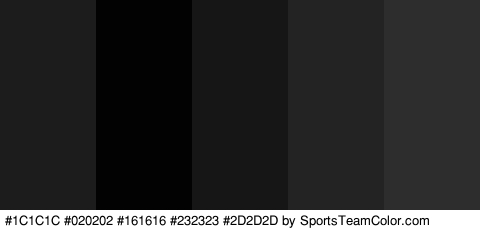 #1C1C1C #020202 #161616 #232323 #2D2D2D Colors