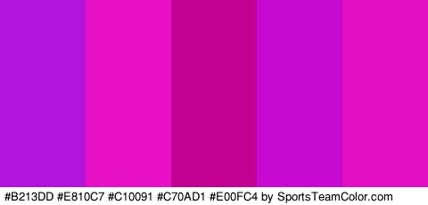 #B213DD #E810C7 #C10091 #C70AD1 #E00FC4 Colors