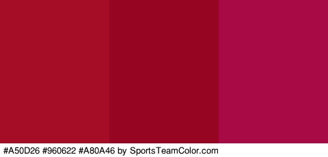 #A50D26 #960622 #A80A46 Colors