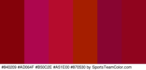 #840209 #AD064F #B50C2E #A51E00 #870530 #91041E Colors