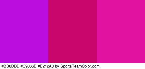 #BB0DDD #C9066B #E212A0 Colors