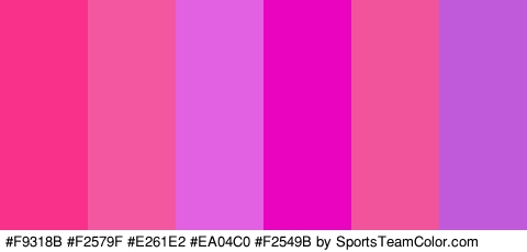 #F9318B #F2579F #E261E2 #EA04C0 #F2549B #C159DB Colors