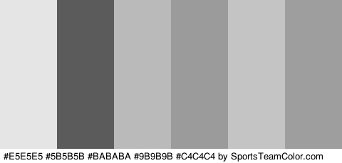 #E5E5E5 #5B5B5B #BABABA #9B9B9B #C4C4C4 #9E9E9E Colors