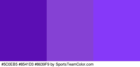 #5C0EB5 #8541D3 #8639F9 Colors