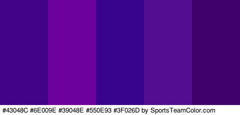 #43048C #6E009E #39048E #550E93 #3F026D Colors