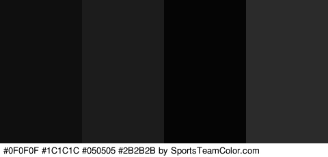 #0F0F0F #1C1C1C #050505 #2B2B2B Colors