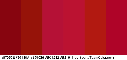 #87050E #96130A #B51036 #BC1232 #B21911 #AF0328 Colors